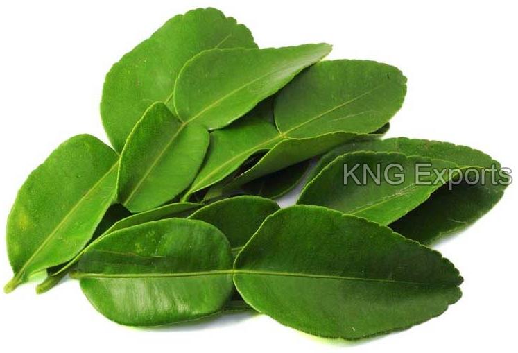 Fresh Lime Leaves, Feature : Easy To Digest, Energetic