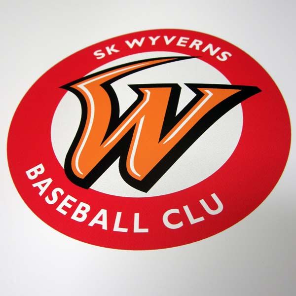 Heat Transfer Vinyl PU Printable