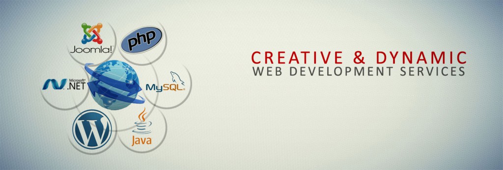 Dynamic Website Design Delhi Ncr