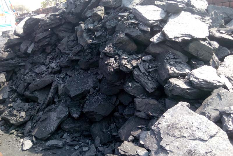 Large stem coal