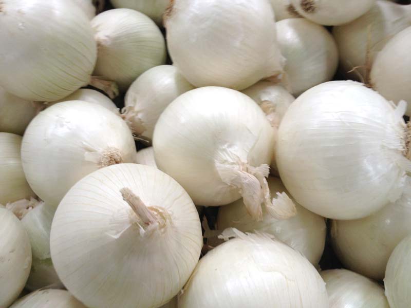 Common Fresh White Onion, for Cooking, Fast Food, Snacks, Size : Large, Medium, Small, 30-50mm