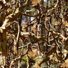 LRC138A PVA Water Transfer Printing Films