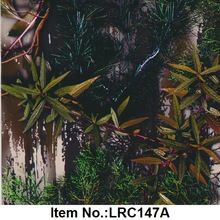 LRC147A PVA Water Transfer Printing Films