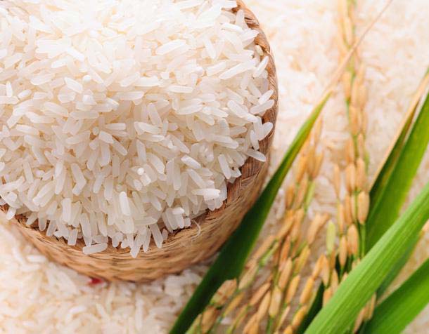 Non Basmati Rice