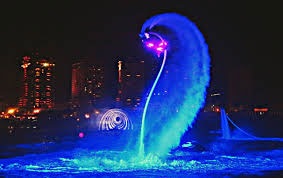 Fountain Show Organizer