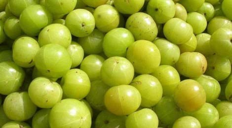 Fresh Amla