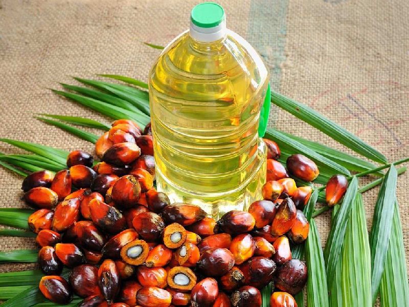 Refined Palm Oil Buy refined palm oil in Chiang Mai Thailand from