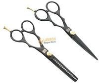 Professional Hair Scissors Set Barber Razor & Thinning Set 5.5