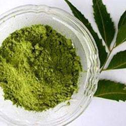 neem leaf powder