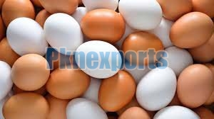 White & Brown Eggs