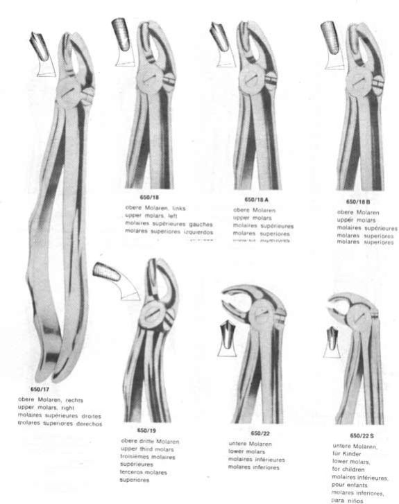 Extracting Forceps With Fitting Handles