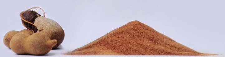 Spray Dried Tamarind Powder