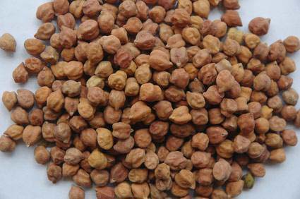 Organic Black Chickpeas, for Agriculture, Style : Dried