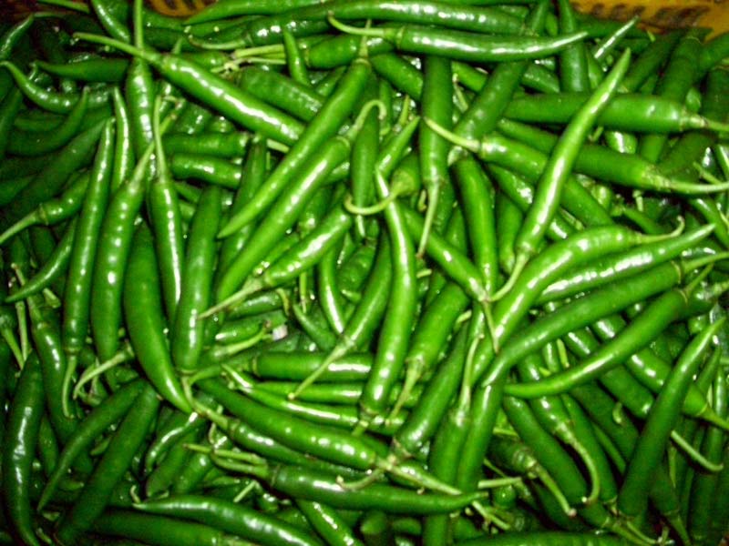 Organic fresh green chilli, Packaging Type : Plastic Packet