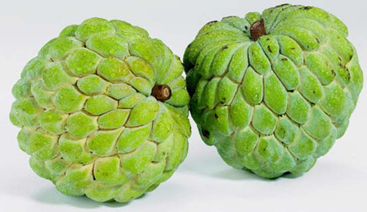 Fresh Custard Apple