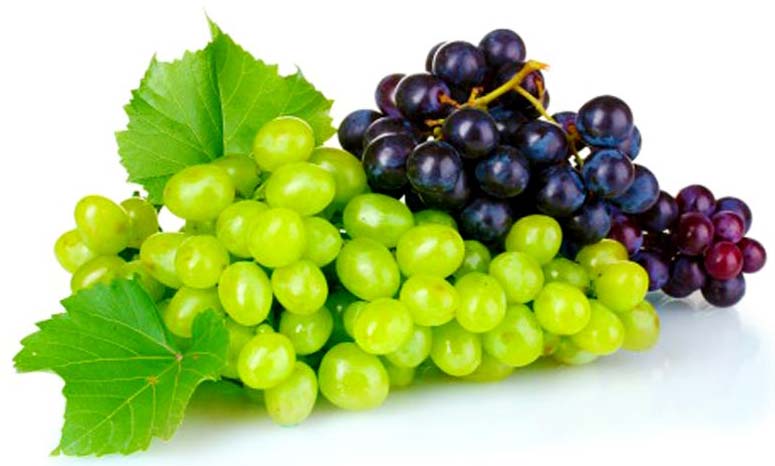 fresh grapes