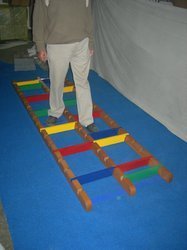 Physiotherapy Foot Placement Ladder