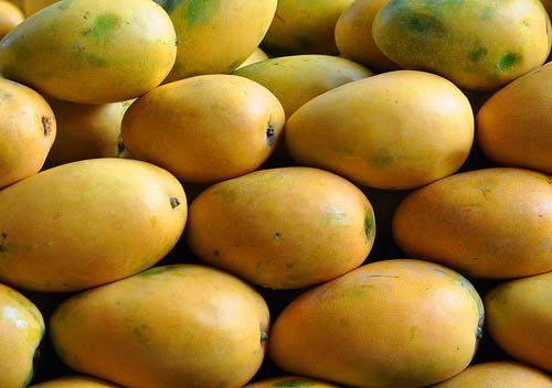 Fresh Banganapalli Mango