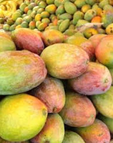Fresh Kalmi Mango