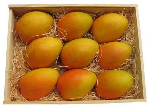 Fresh Rumania Mango