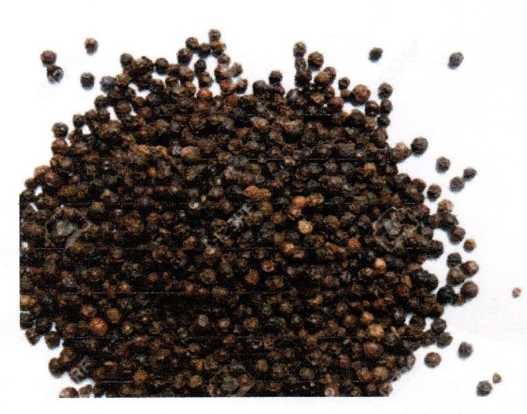 Black Pepper Seeds