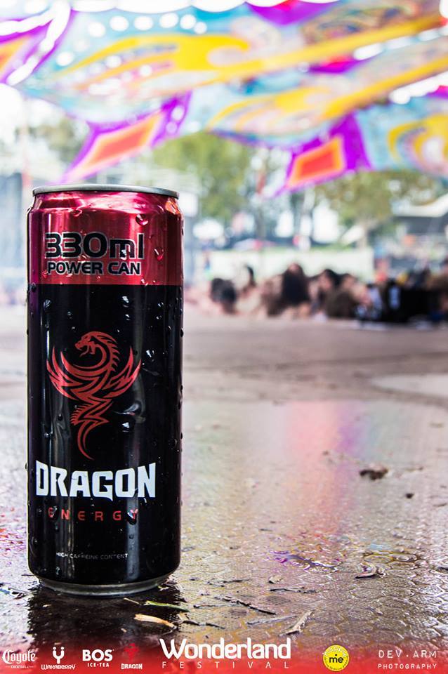 Dragon Energy Manufacturer & Exporters from AURANGABAD, India ID