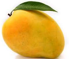 fresh mango