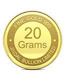20g Gold Coin
