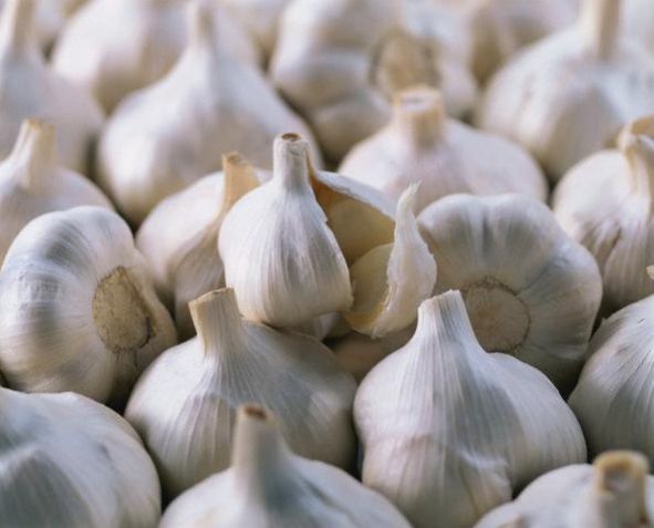 Product: Whole Garlic