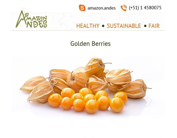 Supreme Quality Easy To Use Golden Berries With High Quality At Reason