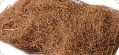 Coir Fiber