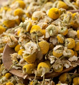 Dried Chamomile Flowers