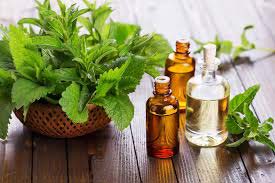 Peppermint Oil, for Infections, Stomach Issue, Packaging Type : 100ml, 200ml, 250ml