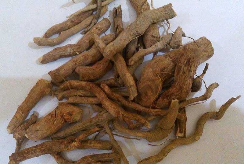 Organic Dried Serpentina Roots, for Beauty, Food Additives, Medicinal, Feature : Good For Health, Pesticide Free