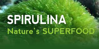 Pure Spirulina Capsules