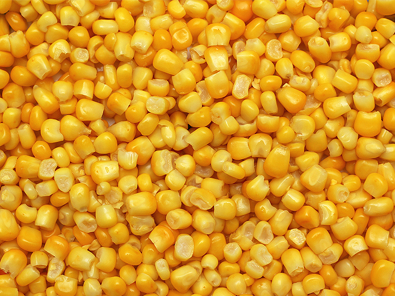 Freeze Dried Sweet Corn, for Cooking, Packaging Type : Gunny Bag