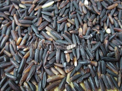Organic black rice, for Cooking, Packaging Type : 5kg