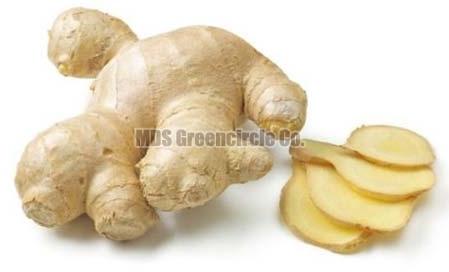 Natural Dry Ginger, for Cooking, Cosmetic Products, Medicine, Packaging Type : Loose, Plastic Packet