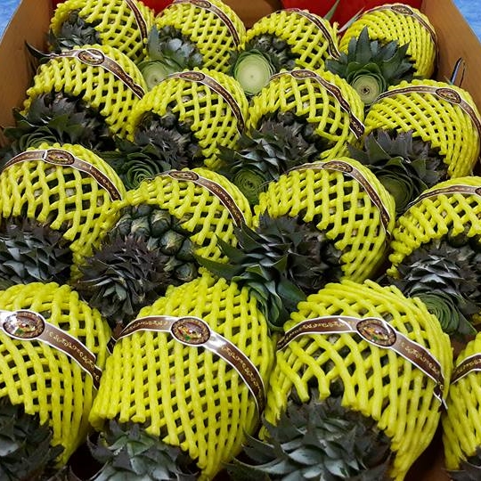 Pineapple Exporters In Chonburi Thailand By Ihope Enterprise Ltd Part Id