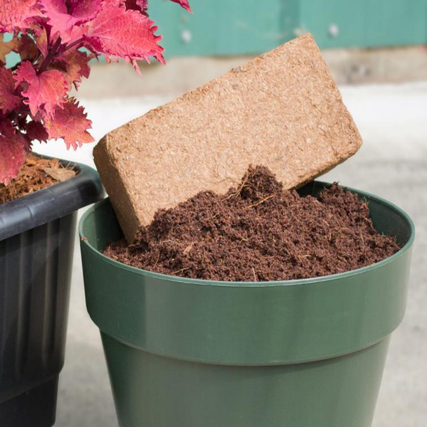 Coco peat, for Farming, Form : Briquettes/Bricks