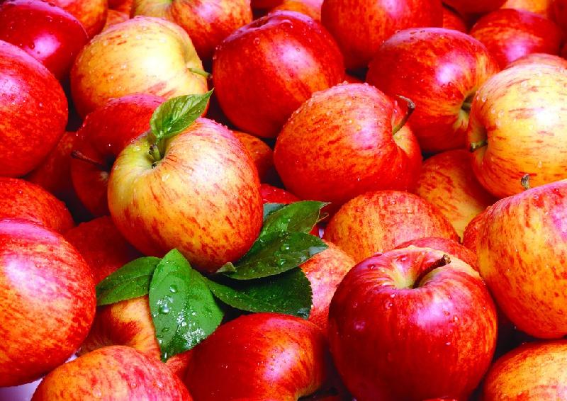 fresh apple at Best Price in Tirupur - ID: 2406491 | Aadhithya Export ...