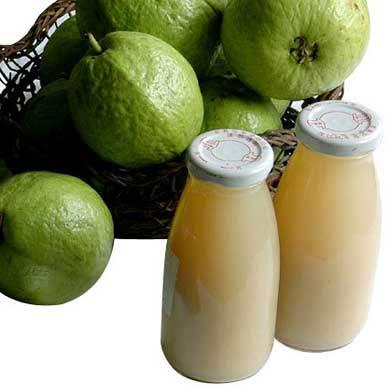 Common Canned Guava Pulp, for Flavoured Milk, Ice Creams, In Juice, Purity : 100%