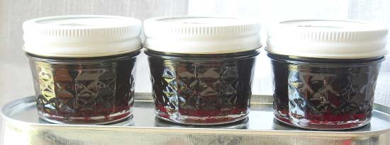 Canned Black Plum Pulp, Color : Brown