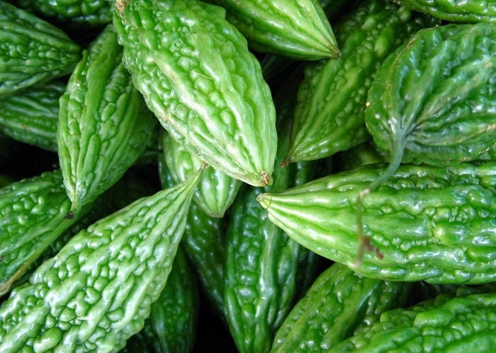 Bitter Gourd, Packaging Type : Carton Box of 5 Kgs