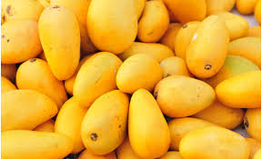 Mango, Packaging Type : 5.6 Kgs per Carton