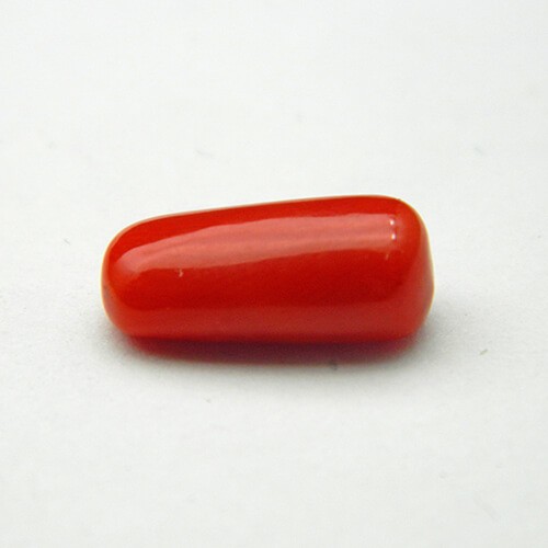 Red Coral, for Jewellery