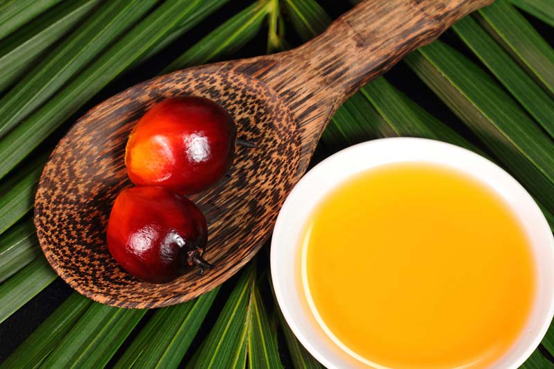 Refined Palm Oil For Cooking