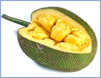 Fresh Jackfruit