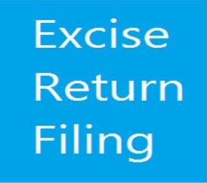 Excise Return Filing Services