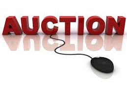 e auctions services on sellxg.com